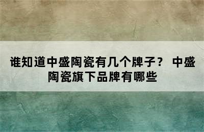 谁知道中盛陶瓷有几个牌子？ 中盛陶瓷旗下品牌有哪些